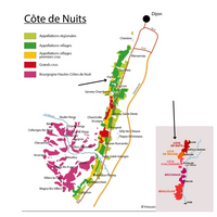 FIXIN Premier Cru 'Clos de la Perrière' Monople 2020 Maison A. Bichot