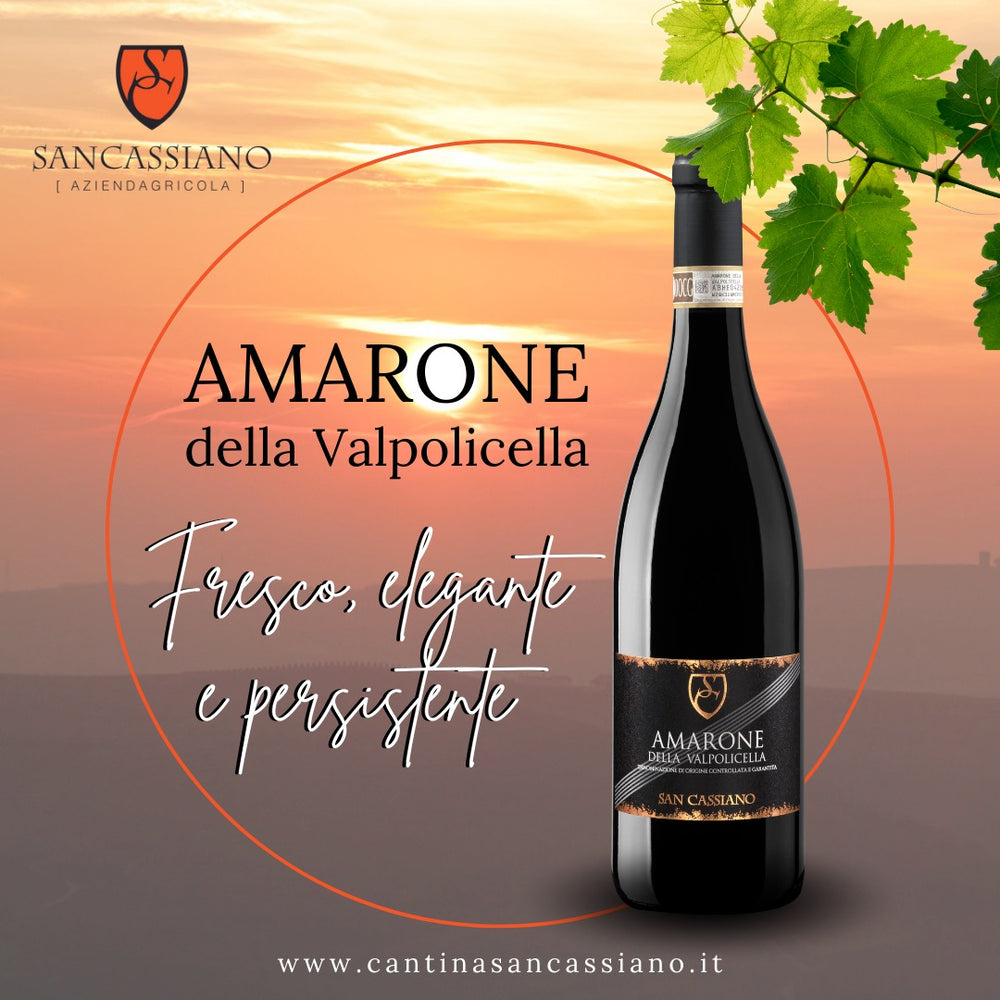 AMARONE DELLA VALPOLICELLA DOCG 2019