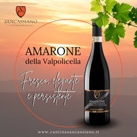 AMARONE DELLA VALPOLICELLA DOCG 2019